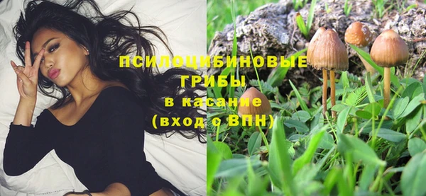 гидропоника Армянск