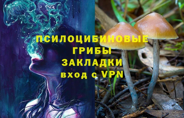 гидропоника Армянск